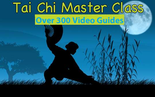 Tai Chi - A Master Class screenshot 1