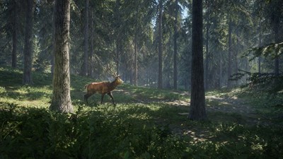 theHunter: Call of the Wild™ - Windows 10 — скриншот 16