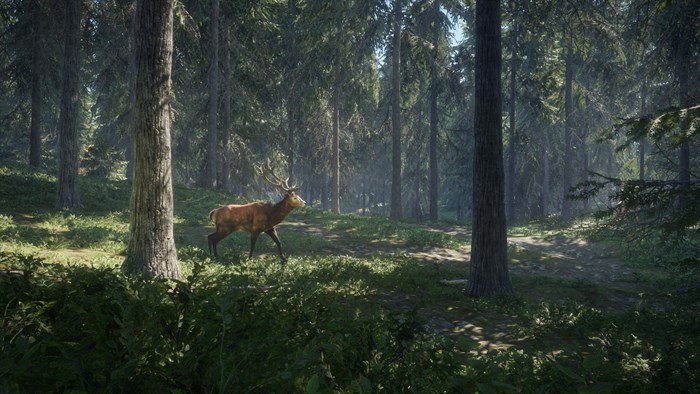 theHunter: Call of the Wild™ - Windows 10 — скриншот 16