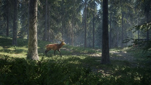 theHunter: Call of the Wild™