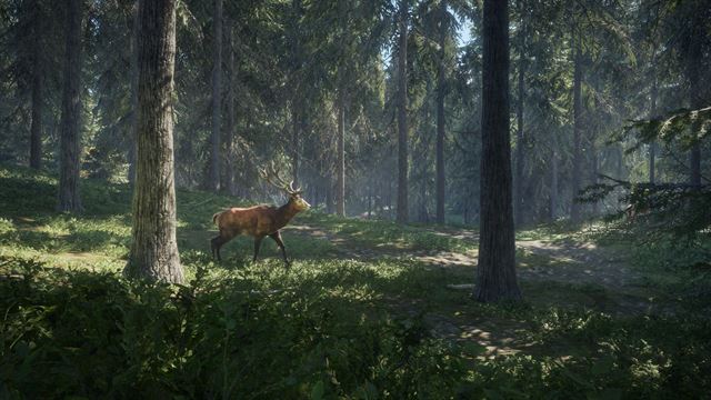 theHunter: Call of the Wild™ screenshot 16