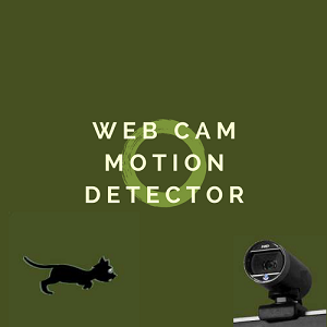 Webcam Motion Detector