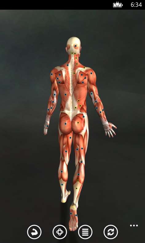 Muscle Trigger Points Anatomy Screenshots 2