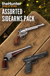 theHunter Call of the Wild™ - Assorted Sidearms Pack - Windows 10