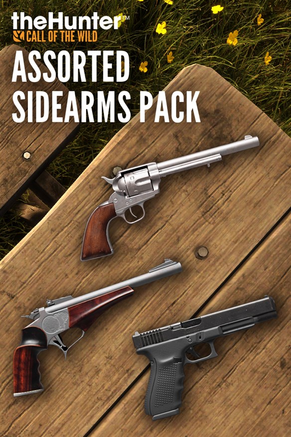 theHunter Call of the Wild - Assorted Sidearms Pack - Windows 10