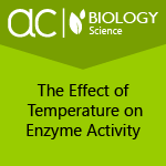 AC Biology: The Effect of Temperature on Enzyme Activity