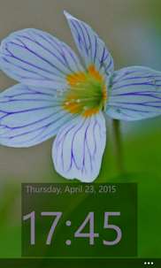 Clock and flowers screenshot 8