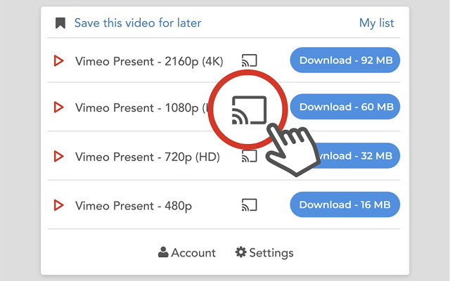 Video Downloader professional