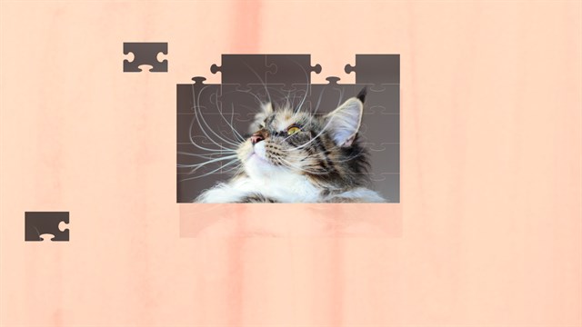 Jigsaw Puzzle Cats 2 screenshot 3