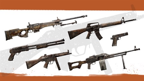 Insurgency: Sandstorm - Reclaimed Weapon Skin Set