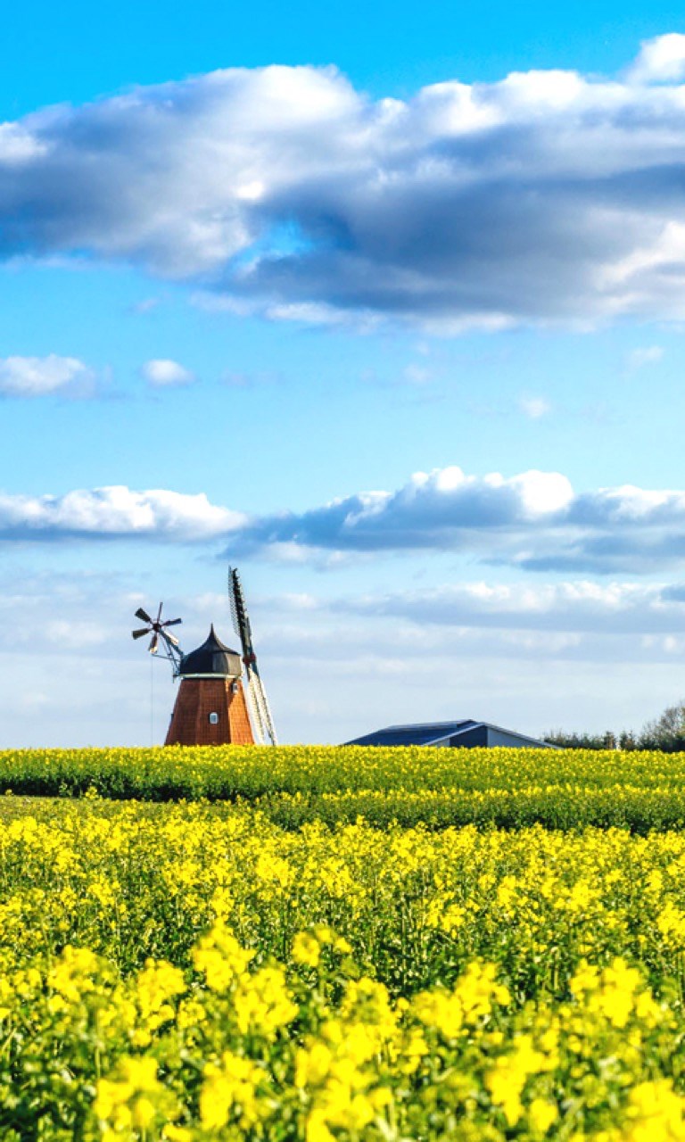 Handy Hintergrundbilder Fruhling Beziehen Microsoft Store De De