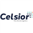 Celsior Business Intelligence Fast Start Workshop icon