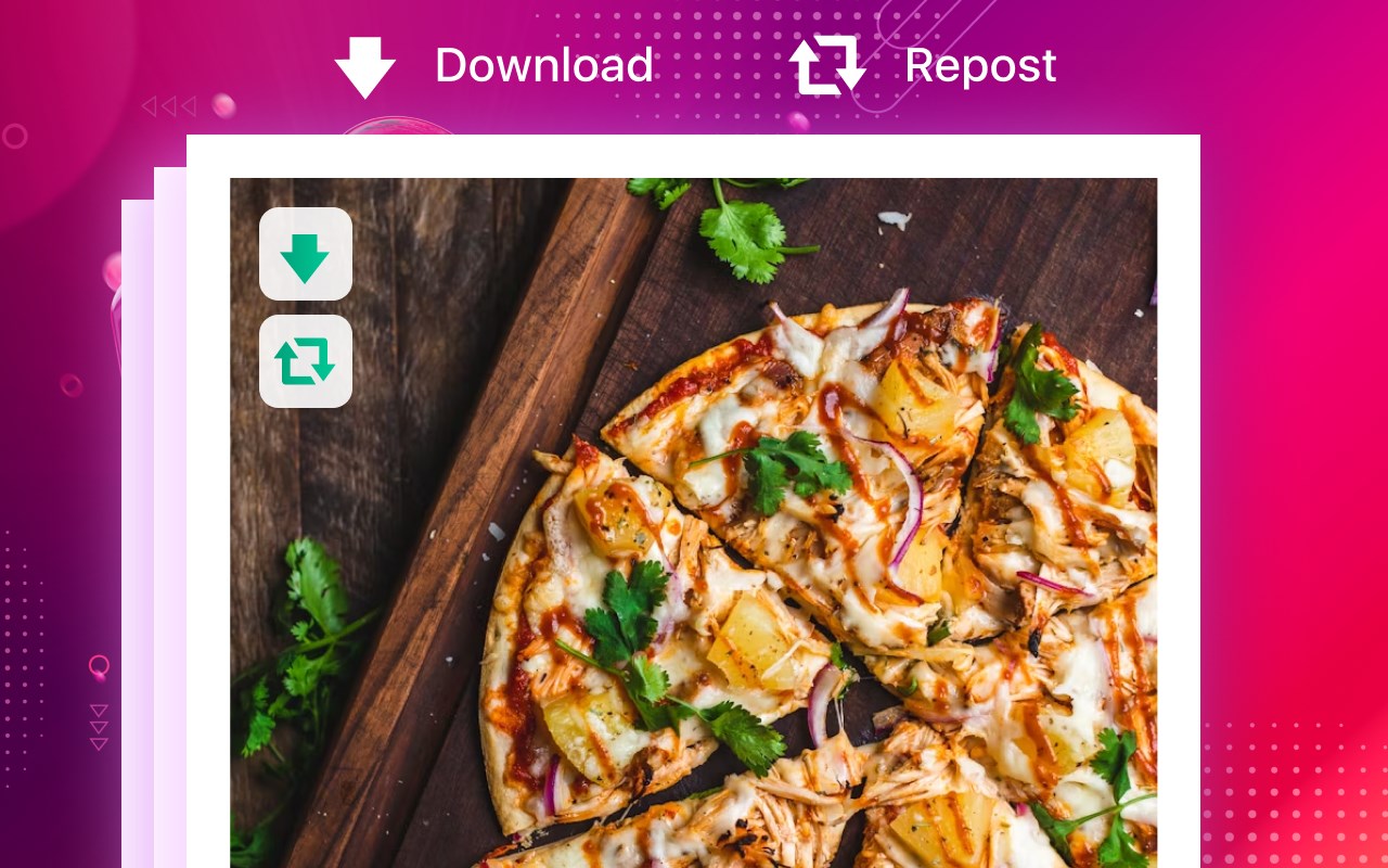 Downloader for Instagram - Promaster