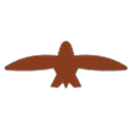 Hawk Translate