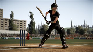 Don bradman cricket 17 xbox 2024 one price