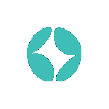 Smart Streaming PRO logo