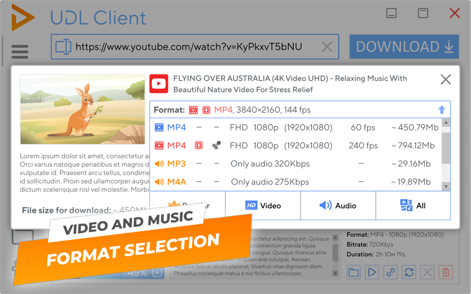 UDL Client_3