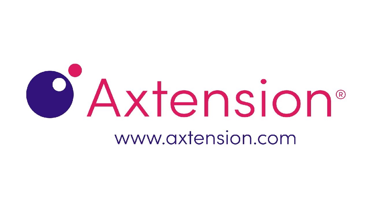 Snapshot 1 of Axtension Project Management