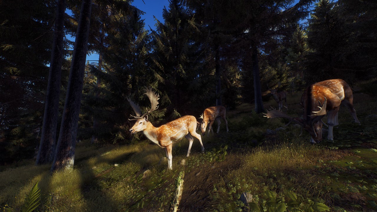 Way of the Hunter screenshot 5