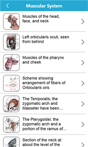 Gray's Anatomy Lite screenshot 4