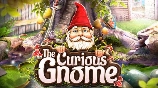 Hidden Object : The Curious Gnome screenshot 1