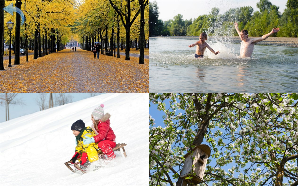 #6. Kids learn about Nature - Flashcards for Toddlers (Windows) 来自: CLEVERBIT