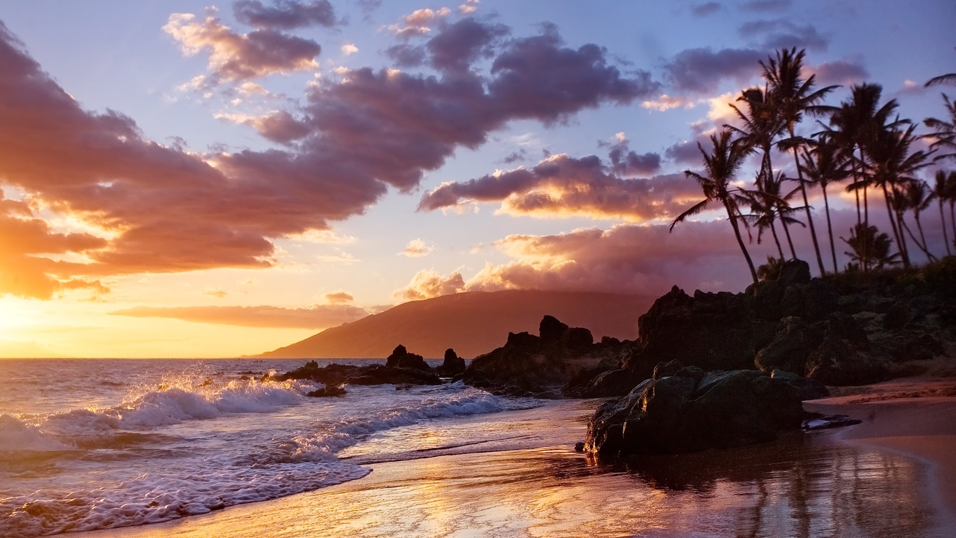 Hawaiian Vacation を入手 Microsoft Store Ja Jp