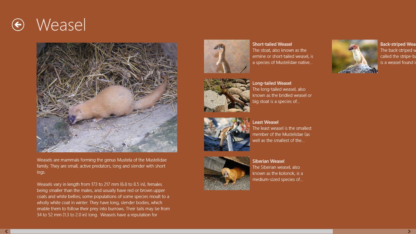 List of weasel species.
