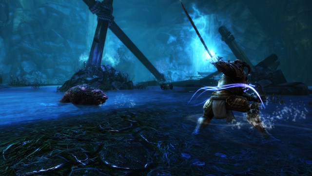 Kingdoms of Amalur: Re-Reckoning FATE Edition screenshot 4