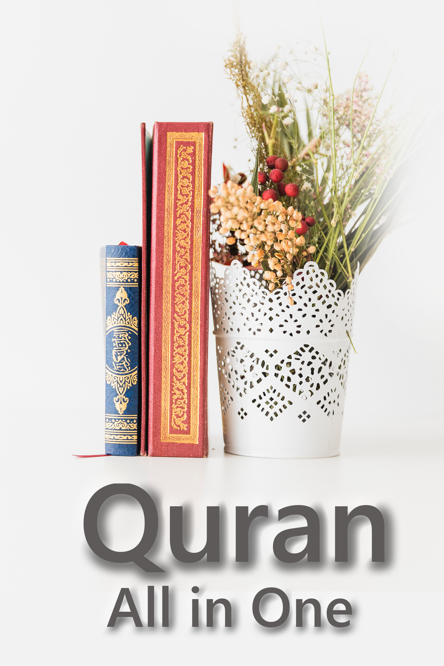 Quran-All-in-One