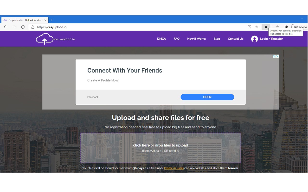 Cyberhaven security extension