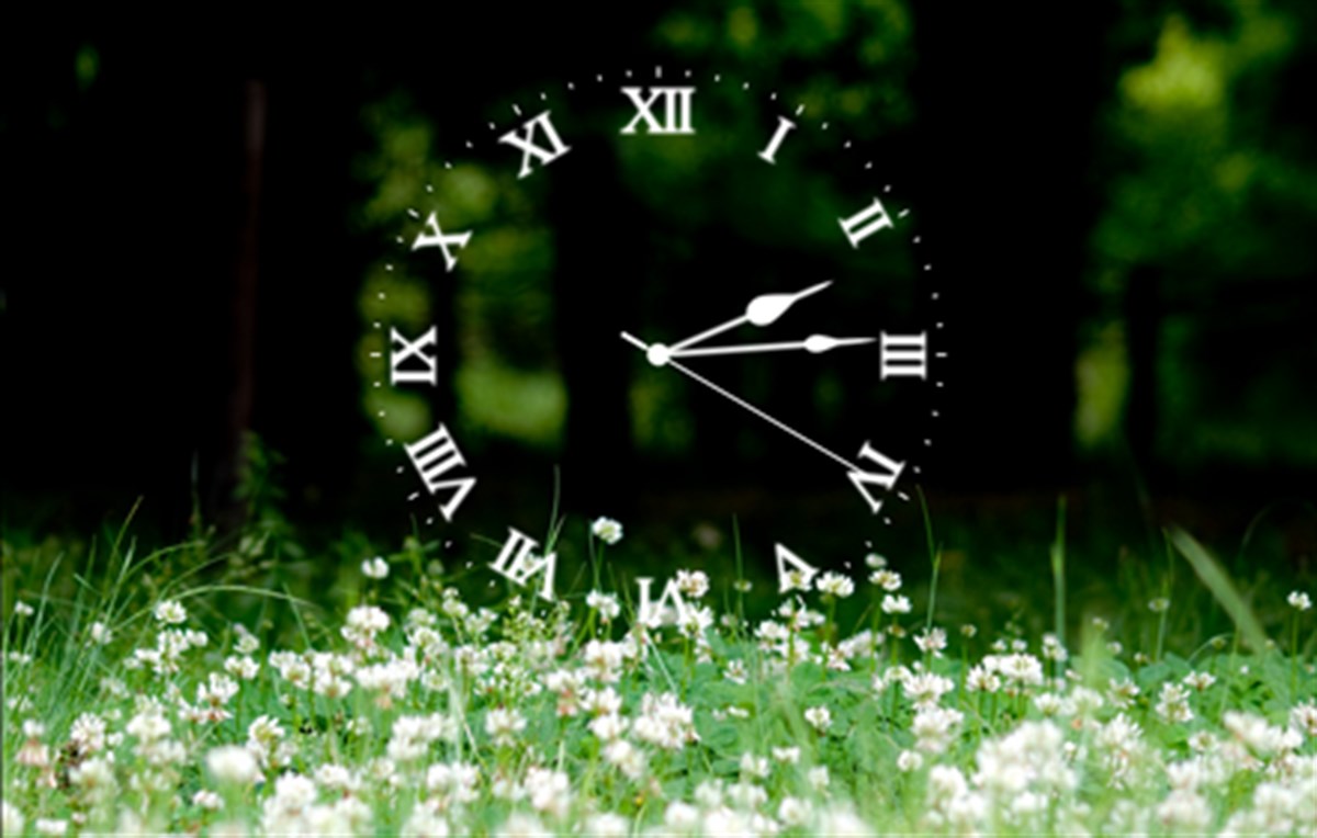 Online Alarm Clock