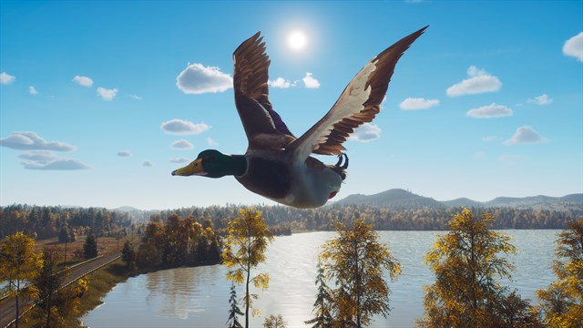 Way of the Hunter - Lintukoto Reserve screenshot 4