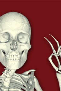 Bone Poser - 3D skeleton pose tool