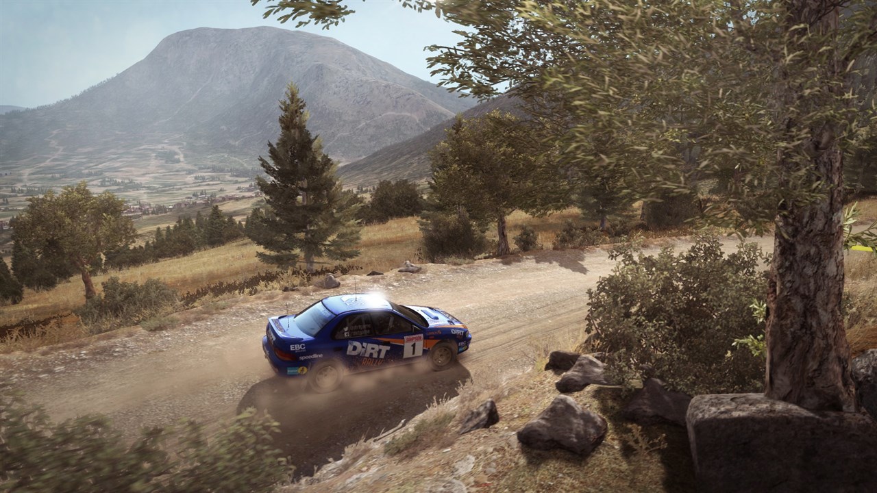 Dirt Rally screenshot 4