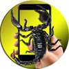 Scorpion On Hand Screen Photo