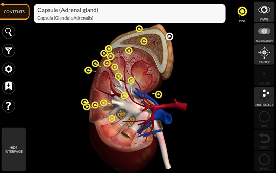 Anatomy 3D Atlas screenshot 5