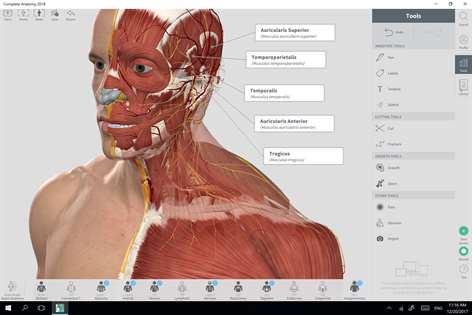 Complete Anatomy Screenshots 1