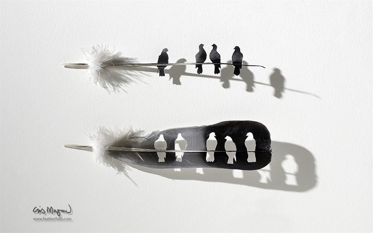 #4. Shadowboxes by Chris Maynard (Windows) Podle: Microsoft Corporation