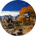 Alabama State Wallpaper New Tab icon