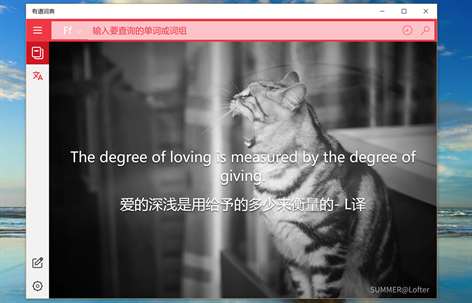 有道词典 Screenshots 1