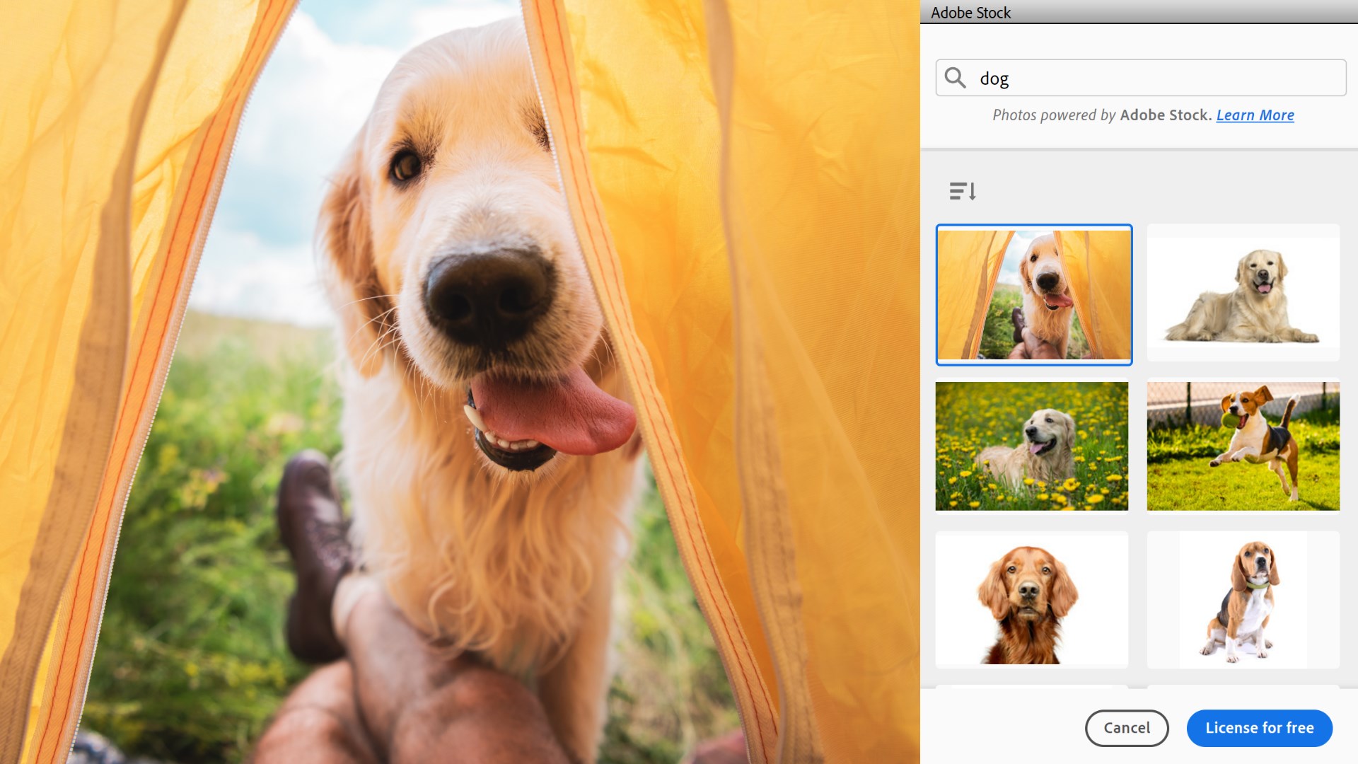 Download Adobe Photoshop Elements 2025 With Crack (Latest Version) 6