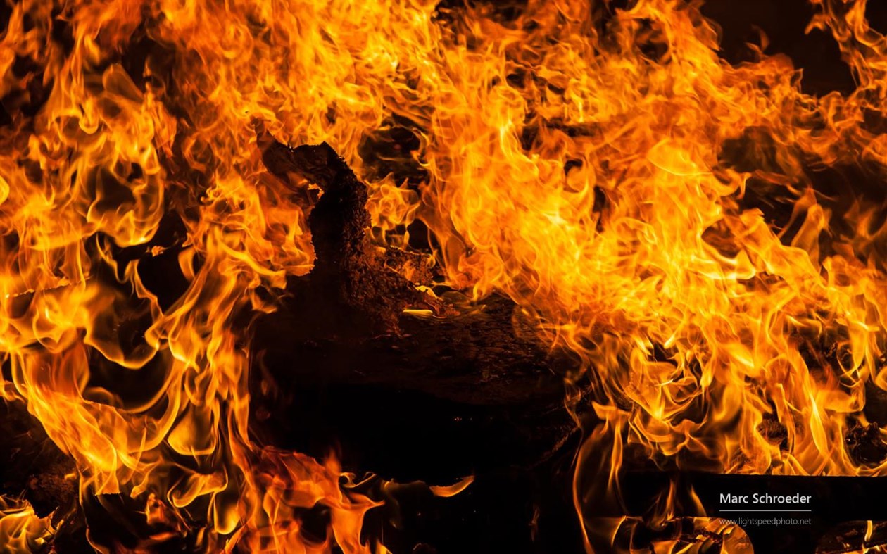 #2. Fire by Marc Schroeder (Windows) 由: Microsoft Corporation