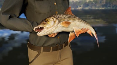 Call of the Wild: The Angler™ — Ultimate Fishing Bundle — скриншот 2