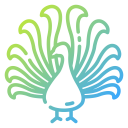 Peacocks HD Wallpapers - Custom New Tab