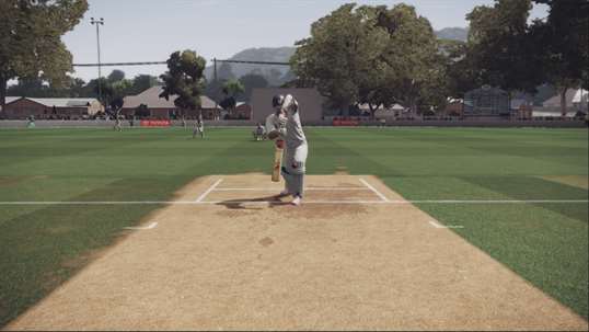 Don Bradman Cricket screenshot 1