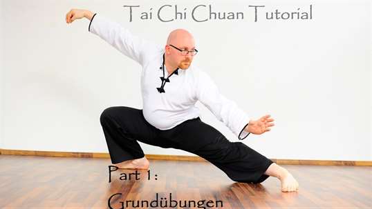 Tai Chi - A Master Class screenshot 4