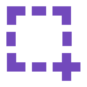 Page Screenshot icon