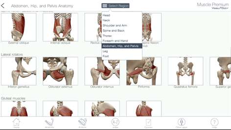 Muscle Premium: 3D Visual Guide for Bones, Joints & Muscles — Human Anatomy & Kinesiology Screenshots 2