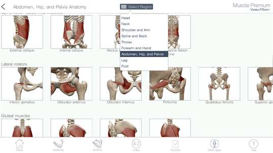 Muscle Premium: 3D Visual Guide for Bones, Joints & Muscles — Human Anatomy & Kinesiology screenshot 2